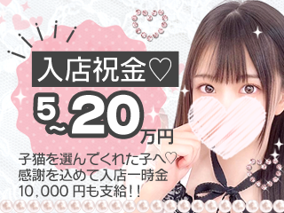 https://konecokokura.sakura.ne.jp/application/uploader/files/320x240_12.png